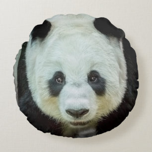 Panda Beer Rond Kussen