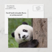 Panda Beer Save the Date Briefkaart (Voorkant / Achterkant)