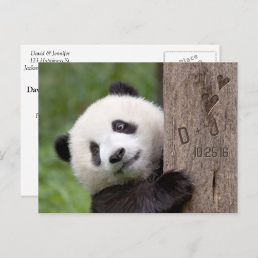 Panda Beer Save the Date Briefkaart (Voorkant / Achterkant)