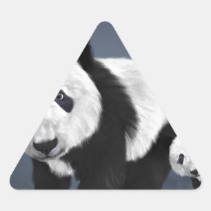 panda beer schattig aanhalig dier zwart wit lief sticker