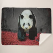 Panda Beer Sherpa Deken (Voorkant (horizontaal))