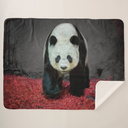 Panda Beer Sherpa Deken (Voorkant (horizontaal))