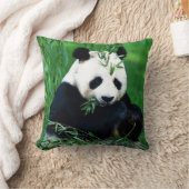 Panda Beer Sierkussen (Deken)
