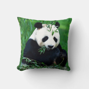 Panda Beer Sierkussen