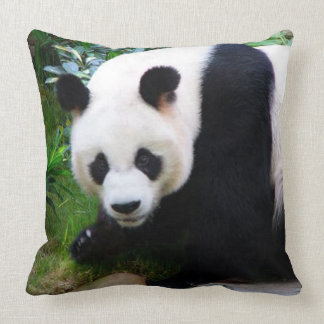 Panda Beer Sierkussen