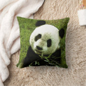 Panda Beer Sierkussen (Deken)