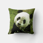 Panda Beer Sierkussen (Achterkant)