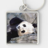 Panda Beer Sleutelhanger (Voorkant)