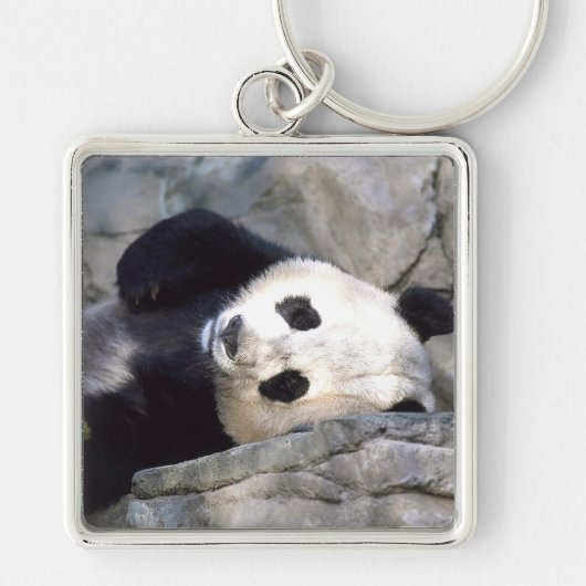 Panda Beer Sleutelhanger (Voorkant)
