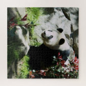 Panda Beer Smile Legpuzzel (Horizontaal)