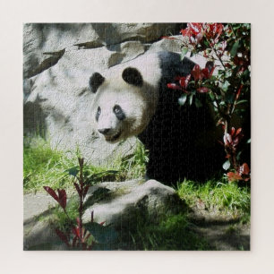 Panda Beer Smile Legpuzzel