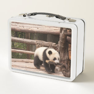Panda Beer Speelbare metalen doos