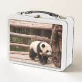 Panda Beer Speelbare metalen doos (Voorkant)