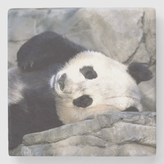Panda Beer Stenen Onderzetter (Voorkant)