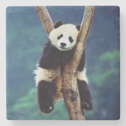 Panda Beer Stenen Onderzetter (Voorkant)