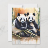 Panda Beer Studie A - Waterverven Feestdagenkaart (Voorkant)