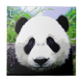 Panda Beer Tegeltje (Voorkant)
