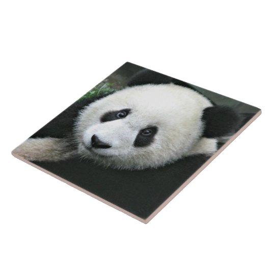 Panda Beer Tegeltje (Zijkant)