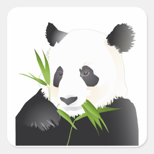Panda Beer Vierkante Sticker (Voorkant)