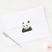 Panda Beer Vierkante Sticker (Envelop)