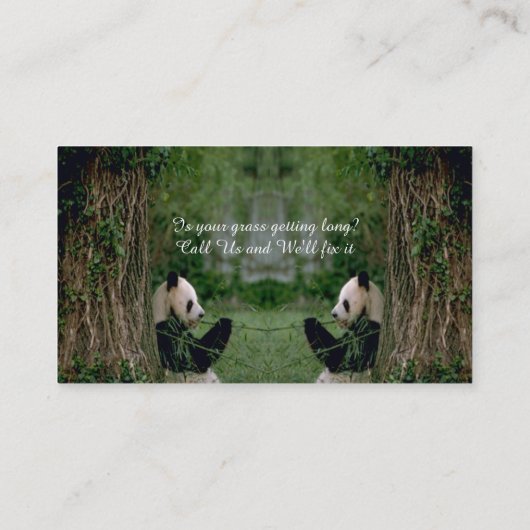 Panda Beer Visitekaartje (Achterkant)