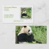 Panda Beer Visitekaartje (Voorkant / Achterkant)