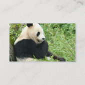Panda Beer Visitekaartje (Achterkant)
