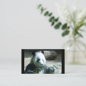 Panda Beer Visitekaartjes (Staand voorkant)