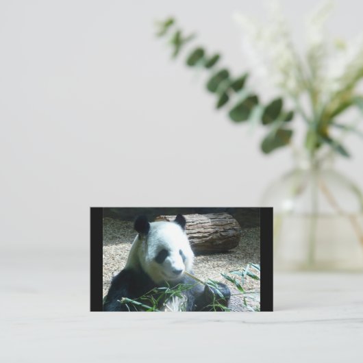 Panda Beer Visitekaartjes (Staand voorkant)