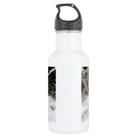 Panda Beer Waterfles (Achterkant)