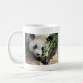 Panda Beer @ Zoo Atlanta Koffiemok (Links)