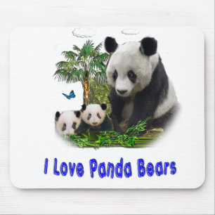 panda beras muismat