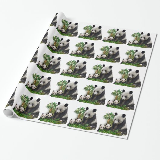 Panda Beren Cadeaupapier (Uitgerold)