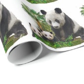 Panda Beren Cadeaupapier (Rol Hoek)