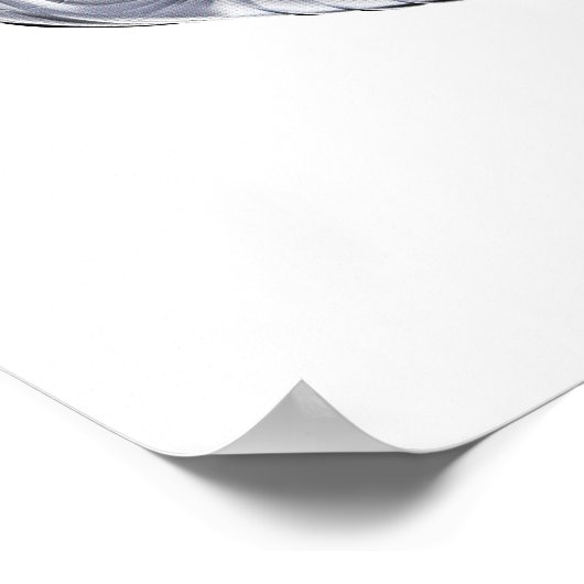 Panda Beren Jiu-Jitsu Poster (Hoek)