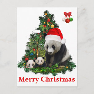 Panda beren Kerstmis Feestdagenkaart