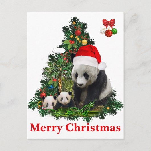 Panda beren Kerstmis Feestdagenkaart (Voorkant)