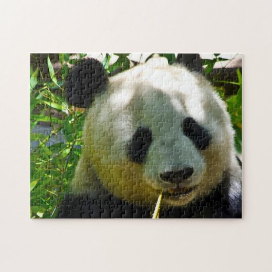 Panda-Beren. Legpuzzel (Horizontaal)