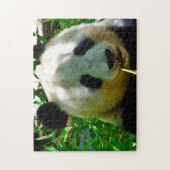 Panda-Beren. Legpuzzel (Verticaal)