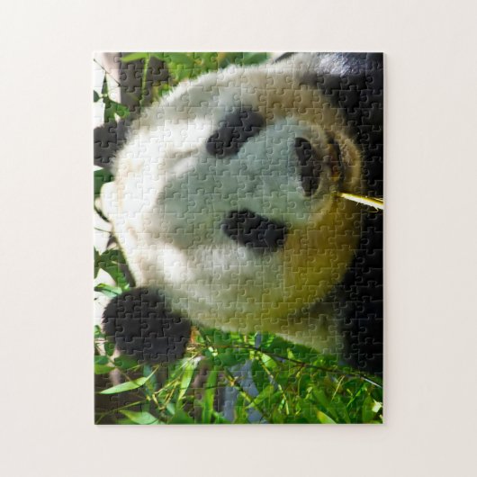 Panda-Beren. Legpuzzel (Verticaal)
