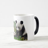 Panda beren magische mok (Voorkant rechts)