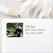 Panda Beren Mailing Label (Insitu)