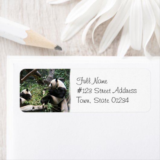 Panda Beren Mailing Label (Insitu)