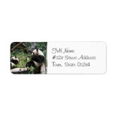 Panda Beren Mailing Label (Voorkant)