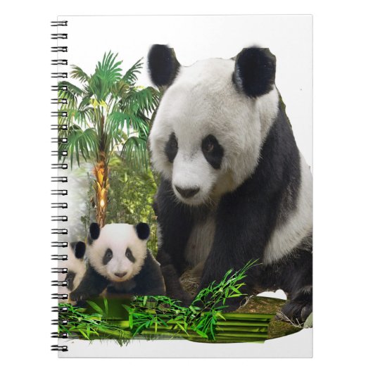 Panda Beren Notitieboek (Voorkant)