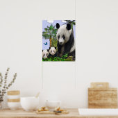 Panda Beren Poster (Keuken)