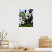 Panda Beren Poster (Keuken)