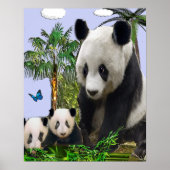 Panda Beren Poster (Voorkant)