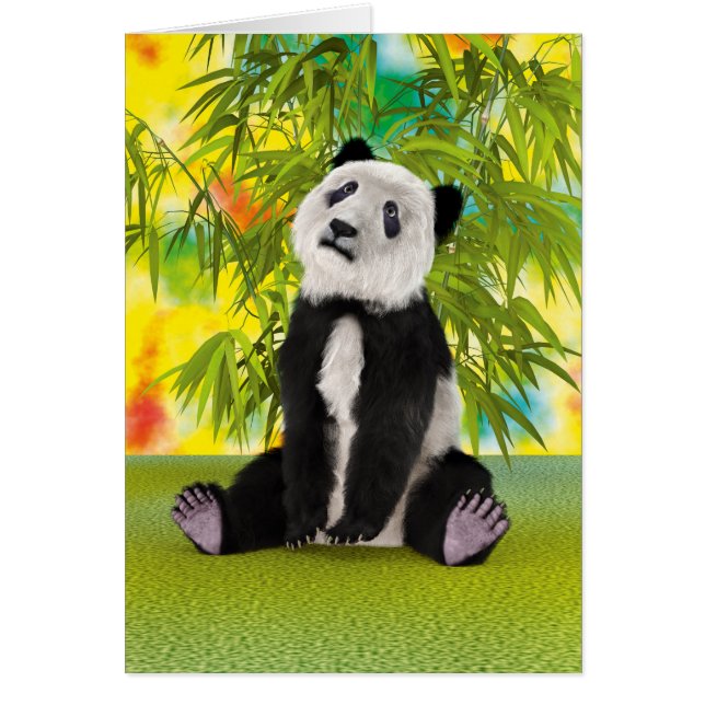 Panda berenjong (Voorkant)