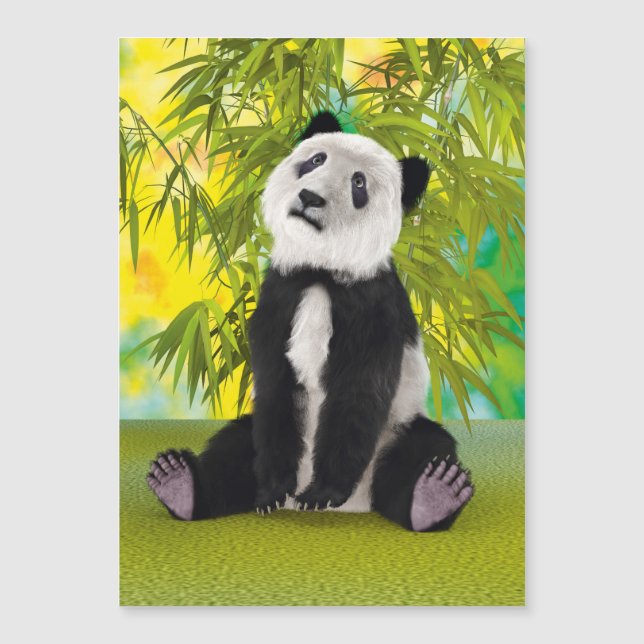 Panda berenjong (Voorkant)